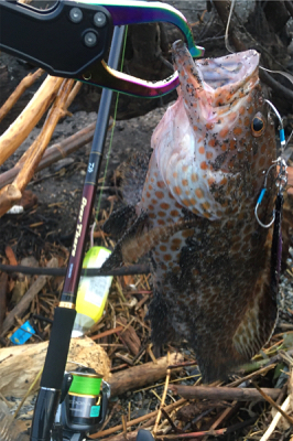 やっとお父さん