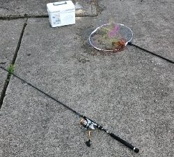 キス狙ってたらまさかのタコ タコの神様ありがとう