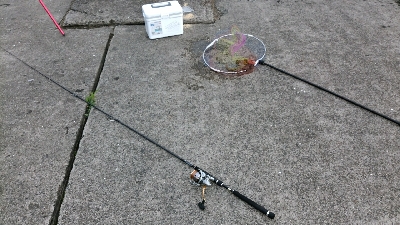 キス狙ってたらまさかのタコ タコの神様ありがとう