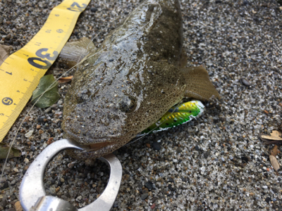 灼熱サーフ河口ランガン