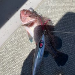 経ヶ岬沖　ジギング