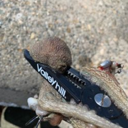 タコは裏切らない！