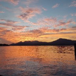 サゴシ30cm　フカセ～サビキ