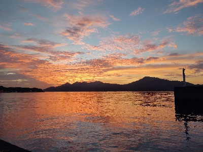 サゴシ30cm　フカセ～サビキ