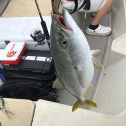 船ジギングは釣れる。