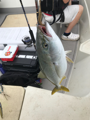 船ジギングは釣れる。