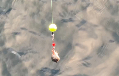 今年初フィッシングがまさかの・・・