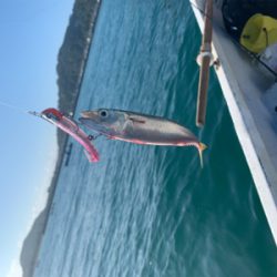 富浦 手漕ぎボート