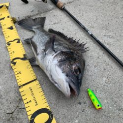 トップチニング