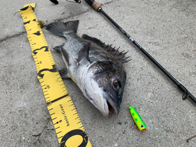 トップチニング