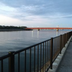 大型がいない・・・