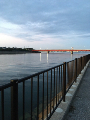 大型がいない・・・