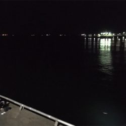 アナゴをサンマで！！