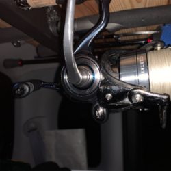 最近シャローばっか!