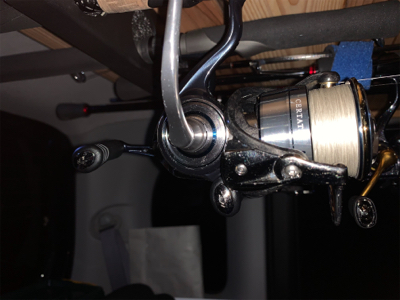 最近シャローばっか!