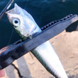 デイアジング再び