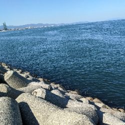 アジ〜んとタチ