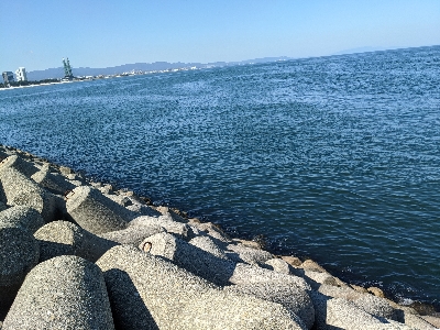 アジ〜んとタチ