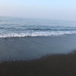 本命だけどチョット違う