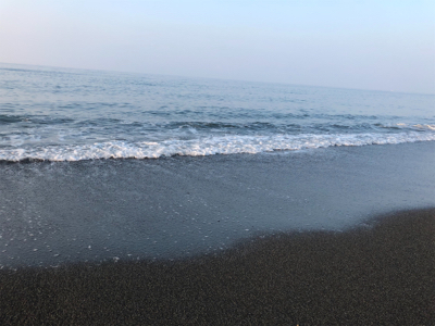 本命だけどチョット違う