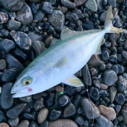 サイズが小さい