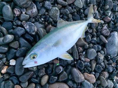 サイズが小さい