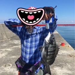 落とし込み チヌ