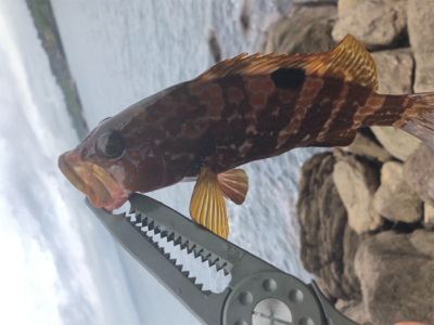 日本海最高‼️…