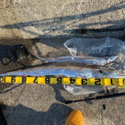 粘って意地のドラゴン‼︎