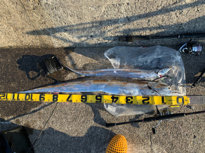 粘って意地のドラゴン‼︎