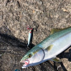 盆休み最終日は加太大波止で青物！