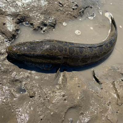 暑いけどDAYはいい