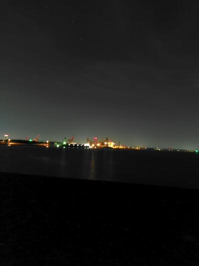 ナイトシーバス釣行？