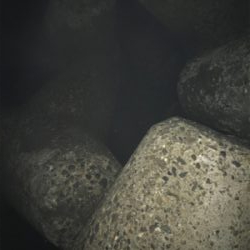 極暑の中夜釣り