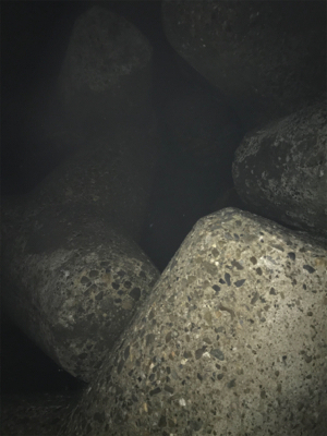 極暑の中夜釣り