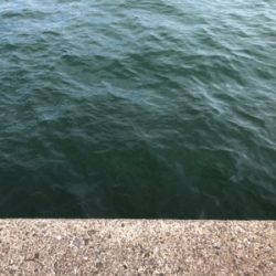 40年振りの渡堤