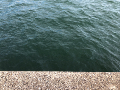 40年振りの渡堤