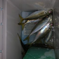 フロートアジング