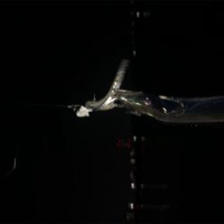 岸和田でもタチウオ