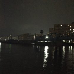 諦めかけてたその時にやっと