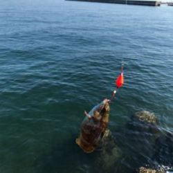 炎天下の釣行。