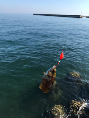 炎天下の釣行。