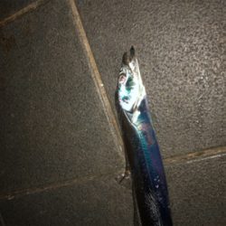 皆さん急いでー