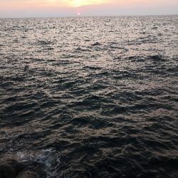 太刀魚の時合いは短時間