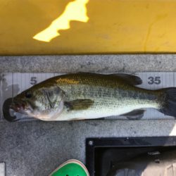 1日ボート釣行！