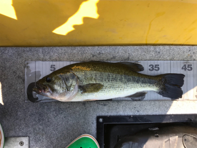 1日ボート釣行！