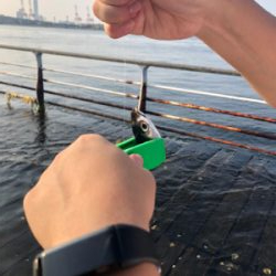 飛ばしサビキでサバ