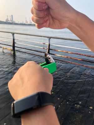 飛ばしサビキでサバ