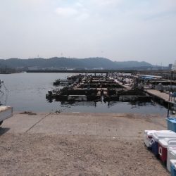 久し振り過ぎて