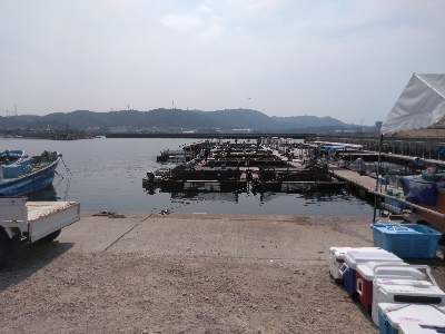 久し振り過ぎて